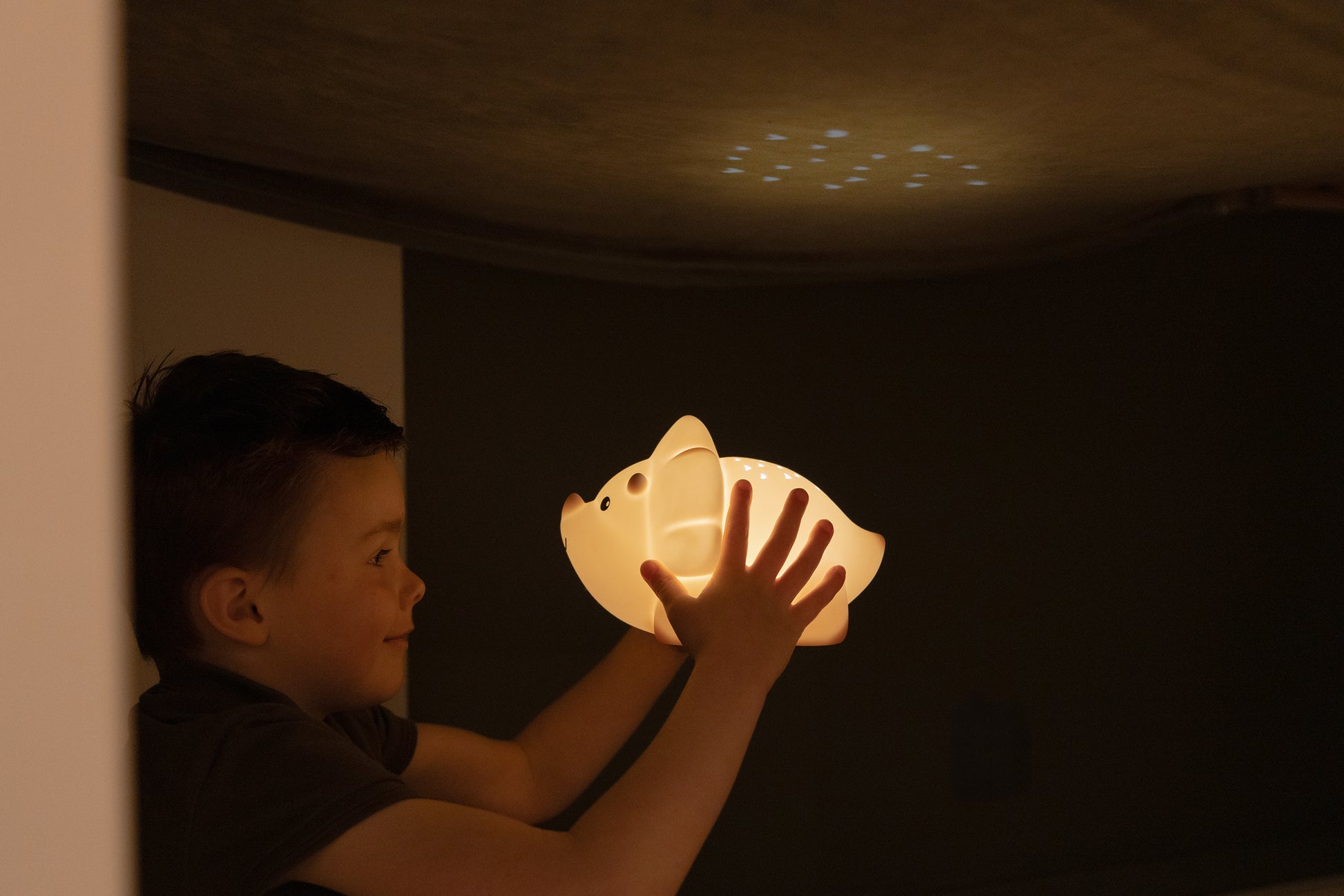 Juliette Nachtlicht Projektor Triceratops in  Sand – Junge Licht an - Nohna