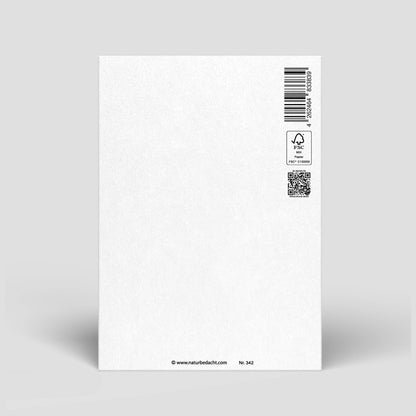 Postkarte Geburtstag Smileys von Naturbedacht – FSC-zertifiziert, inkl. Umschlag, Rückseite, Nohna